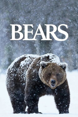Bears (2004) Bears (2004)