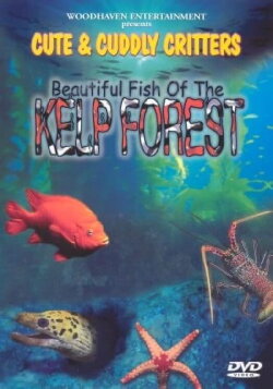 Beautiful Fish of the Kelp Forest (2004) Beautiful Fish of the Kelp Forest (2004)