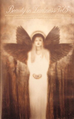 Beauty In Darkness Vol. 5 (2001)