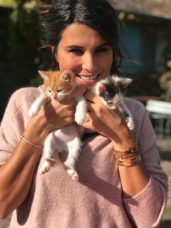 Bébés chats - Les 100 premiers jours de leur vie (2019)