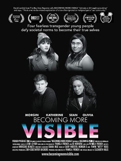 Becoming More Visible (2016)