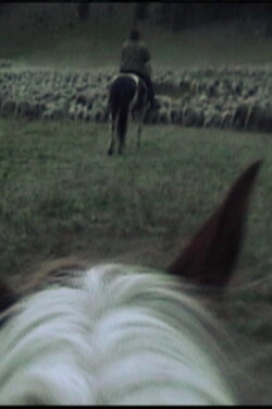 Bedding Down (2012)