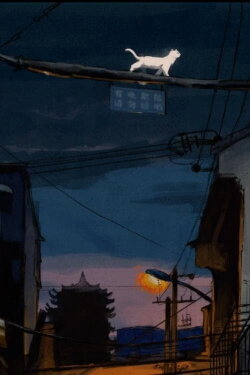 Before Dawn (2022) Before Dawn (2022)