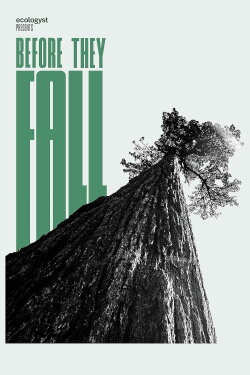 Before They Fall (2021) Before They Fall (2021)