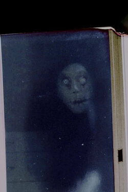 Behind the Frame (2020)