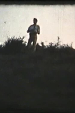 Beius (1978) Beius (1978)