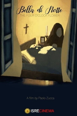 Bella di notte (2014)