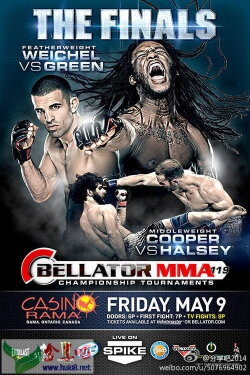 Bellator 119 (2014)