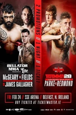 Bellator 173: McGeary vs. McDermott (2017) Bellator 173: McGeary vs. McDermott (2017)