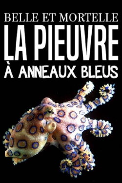Belle et mortelle, la pieuvre à anneaux bleus (2015) Belle et mortelle, la pieuvre à anneaux bleus (2015)