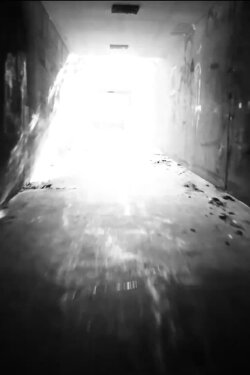 Beneath the Path and Beyond (2019) Beneath the Path and Beyond (2019)