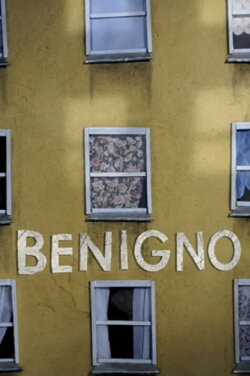 Benigni (2010) Benigni (2010)