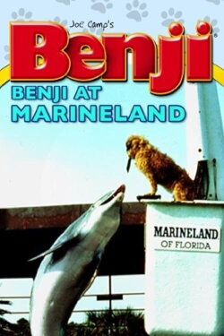 Benji (Takes a Dive) at Marineland (1981) Benji (Takes a Dive) at Marineland (1981)