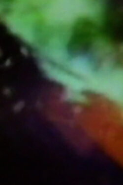 Bent Light (1976)