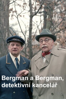 Bergman a Bergman, detektivní kancelář (1984)