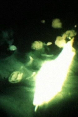 Bermuda Triangle (1979)