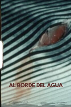 Beside the Water (2023)