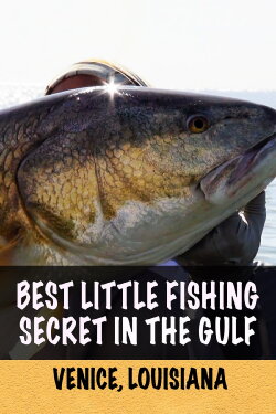 Best Little Fishing Secret in the Gulf: Venice, Louisiana (2020) Best Little Fishing Secret in the Gulf: Venice, Louisiana (2020)