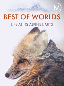 Best of Worlds: Life at its Alpine Limits (2014)