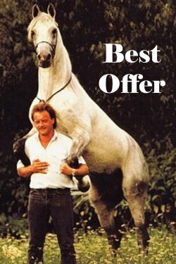 Best Offer (1993) Best Offer (1993)