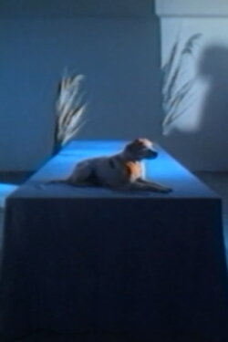 Between Dog and Wolf (1989)