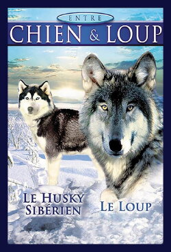 Between Dog and Wolf (2021) Between Dog and Wolf (2021)