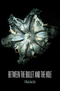 Between the Bullet and the Hole (2015) Between the Bullet and the Hole (2015)