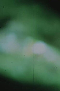 Between the Frame (1967) Between the Frame (1967)
