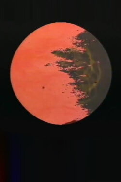 Biddick Farm Performance (1979)