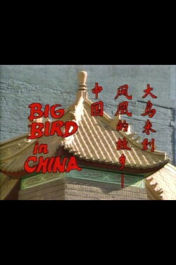 Big Bird in China (1983)