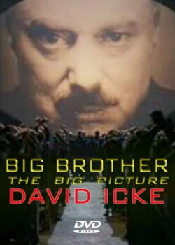 Big Brother: The Big Picture (2008) Big Brother: The Big Picture (2008)