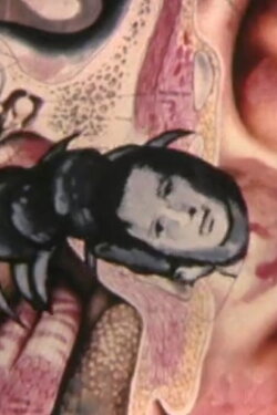 Big Bug Attack (2002) Big Bug Attack (2002)