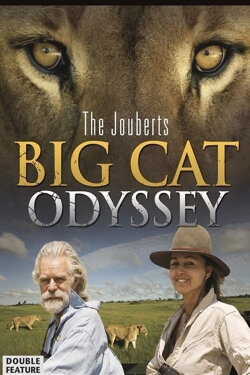 Big Cat Odyssey (2010) Big Cat Odyssey (2010)