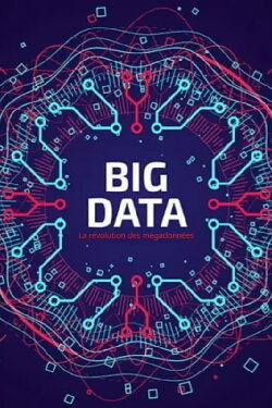 Big Data - La révolution des mégadonnées (2014) Big Data - La révolution des mégadonnées (2014)