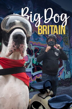 Big Dog Britain (2021) Big Dog Britain (2021)