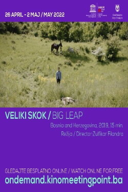 Big Leap (2019)