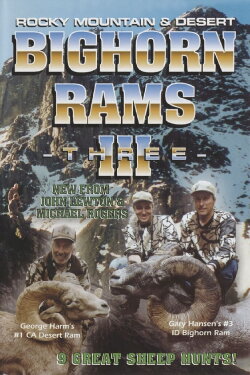 Bighorn Rams 3 (2000)