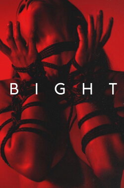 Bight (2026) Bight (2026)