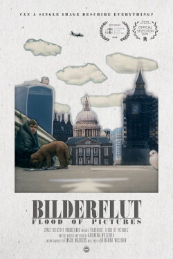 Bilderflut: Flood of Pictures (2022) Bilderflut: Flood of Pictures (2022)