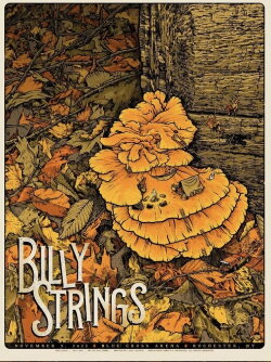Billy Strings: 2022.11.09 - Blue Cross Arena - Rochester, NY (2022) Billy Strings: 2022.11.09 - Blue Cross Arena - Rochester, NY (2022)