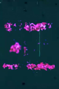 Binary Bit Patterns (1969)