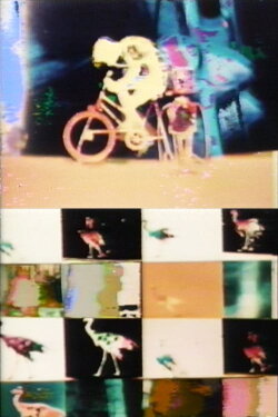 Biological Cycle No. 3 (1971) Biological Cycle No. 3 (1971)
