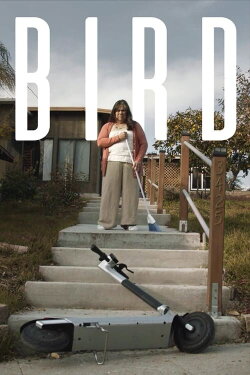 Bird (2021)