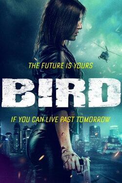 Bird (2020) Bird (2020)