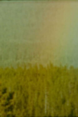 Bird (1978)