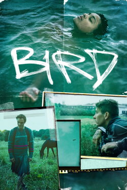 Bird (2024) Bird (2024)