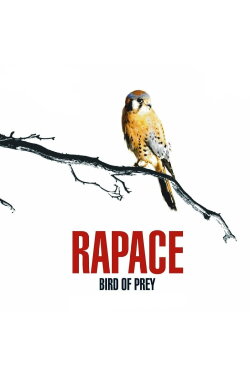 Bird of Prey (2006) Bird of Prey (2006)