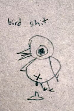 Bird Shit (2013)