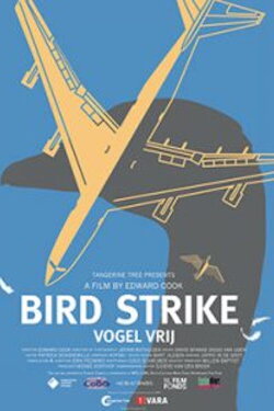 Bird Strike (2015) Bird Strike (2015)