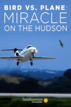 Bird vs. Plane: Miracle on the Hudson (2019) Bird vs. Plane: Miracle on the Hudson (2019)